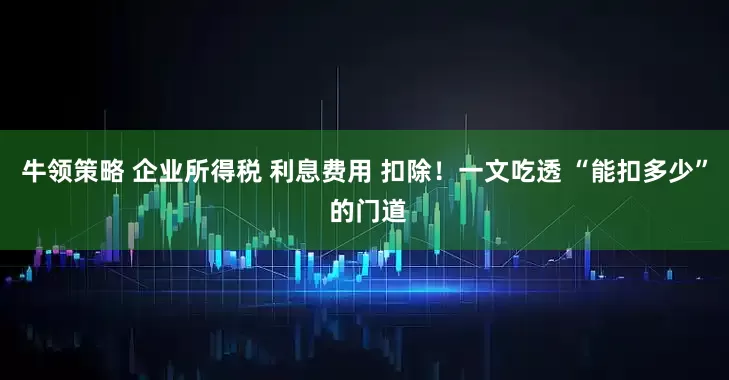 牛领策略 企业所得税 利息费用 扣除！一文吃透 “能扣多少” 的门道