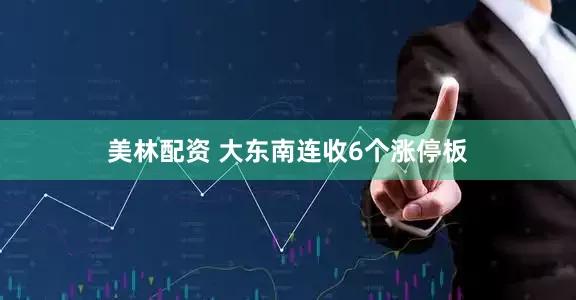美林配资 大东南连收6个涨停板