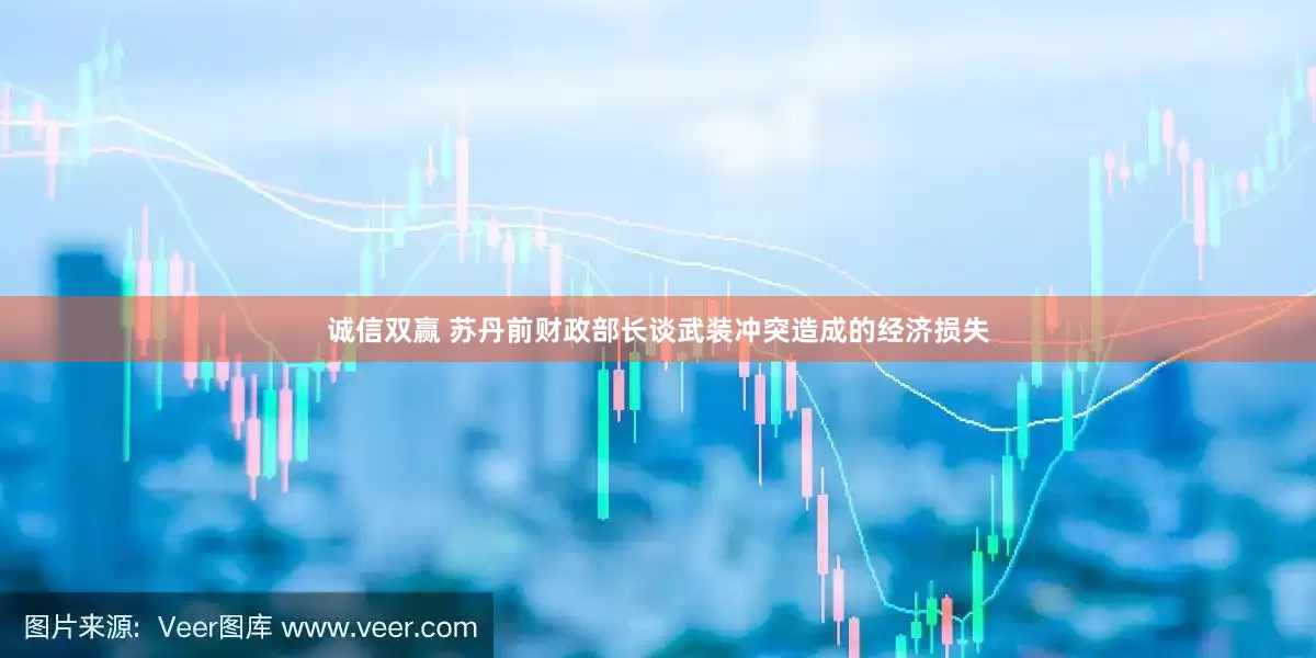 诚信双赢 苏丹前财政部长谈武装冲突造成的经济损失
